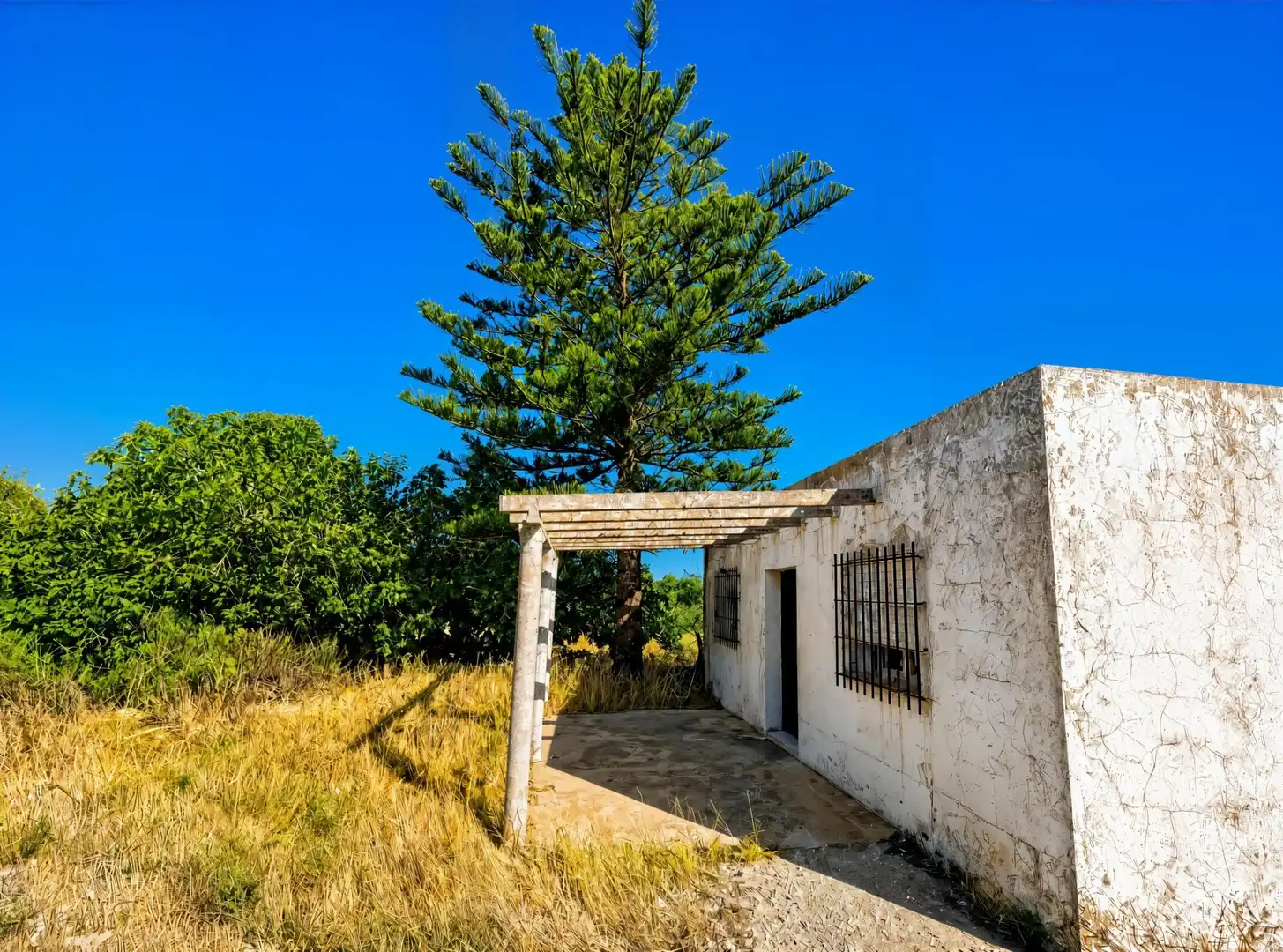 Rural land for sale in Pelagatos - Pago del Humo, imagen 5