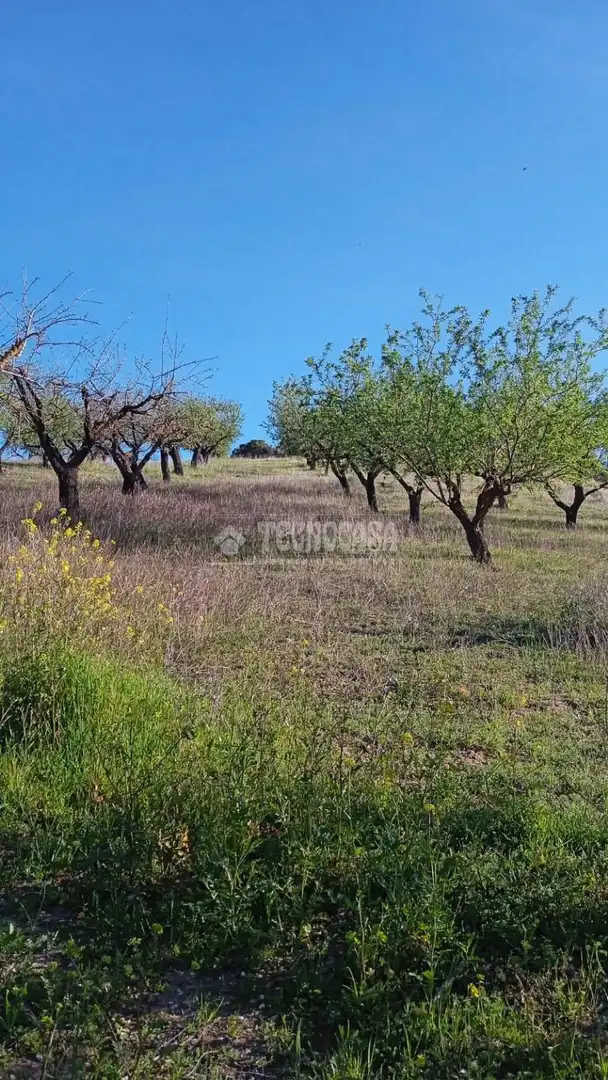 Terreny en venda en Gójar