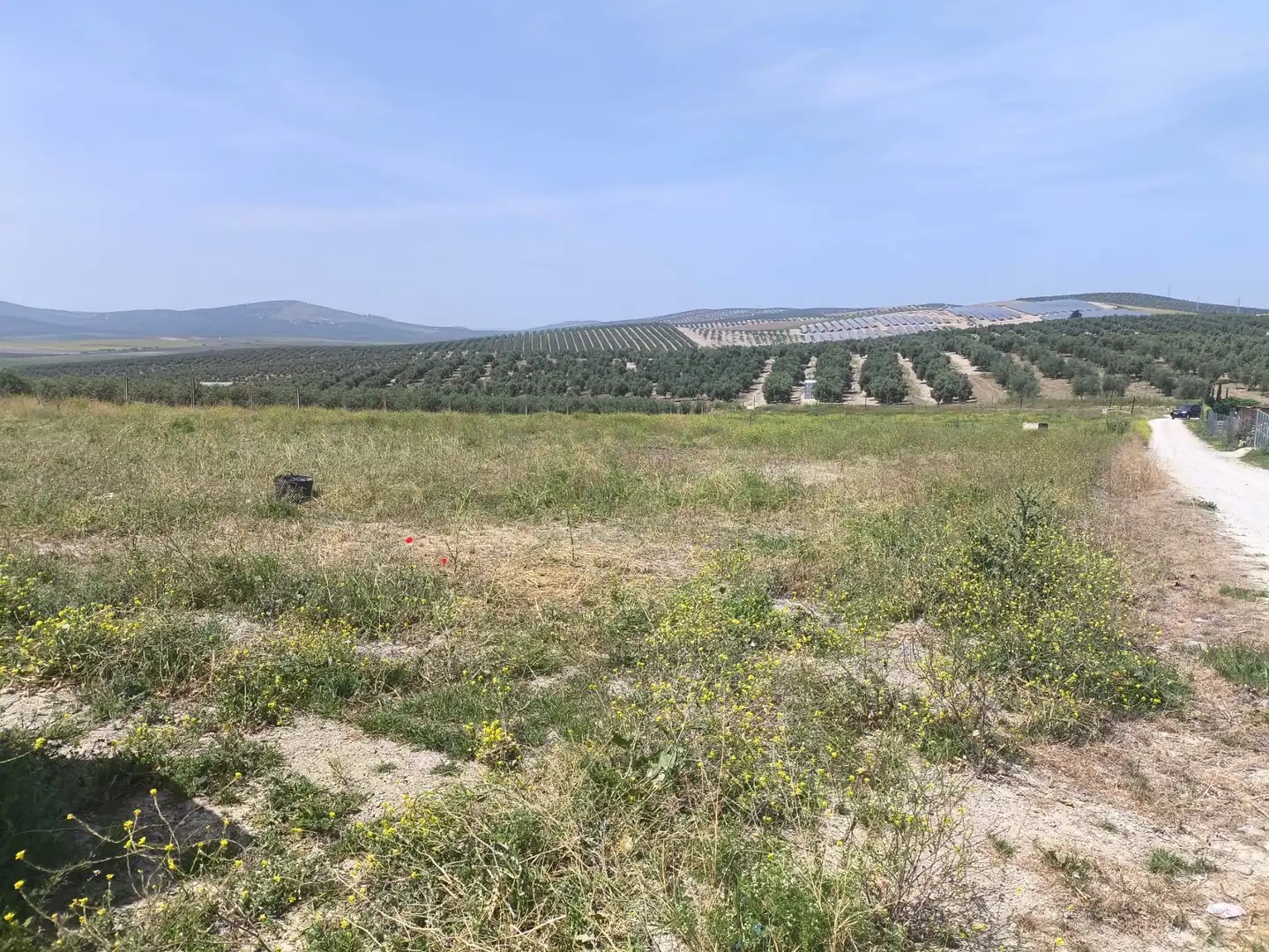 Terreni e lotti in vendita a Mengíbar, imagen 4