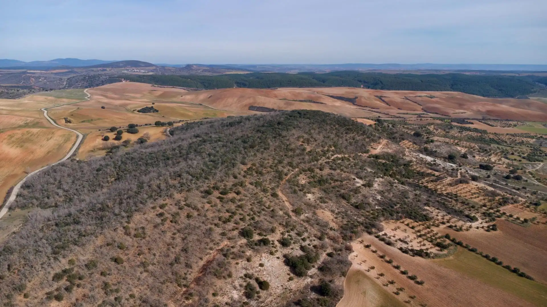 Land for sale in Arbancón