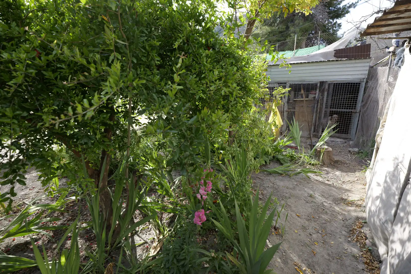 Garden of Houses for sale in Adra  with Private garden, Terrace and Furnished