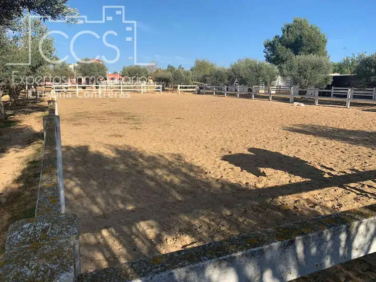 Vista exterior de Finca rústica en venta en Alcalá de Guadaira con Piscina y Amueblado