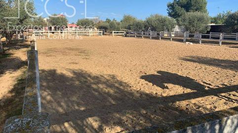 Foto 3 de Finca rústica en venda a Oromana, Sevilla