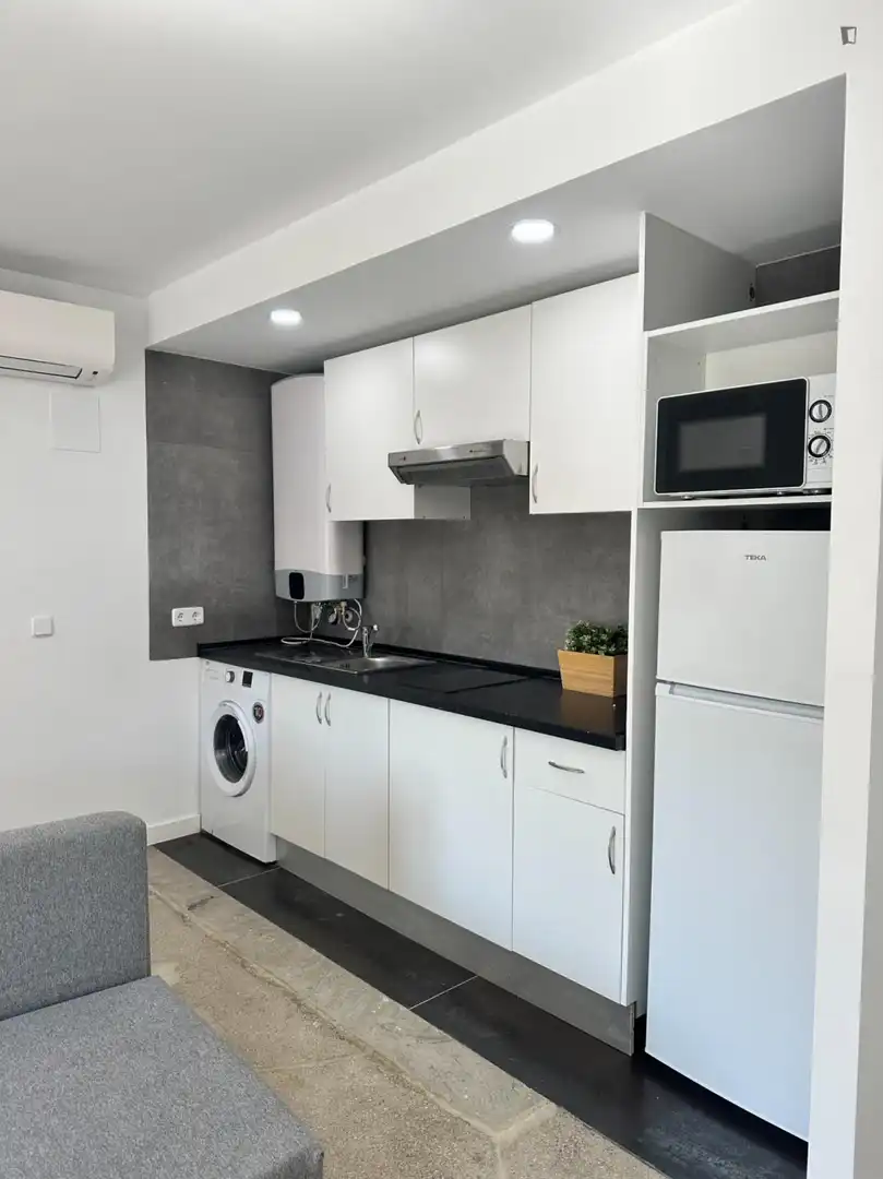 Apartamento con ascensor en alquiler en Centro, imagen 12