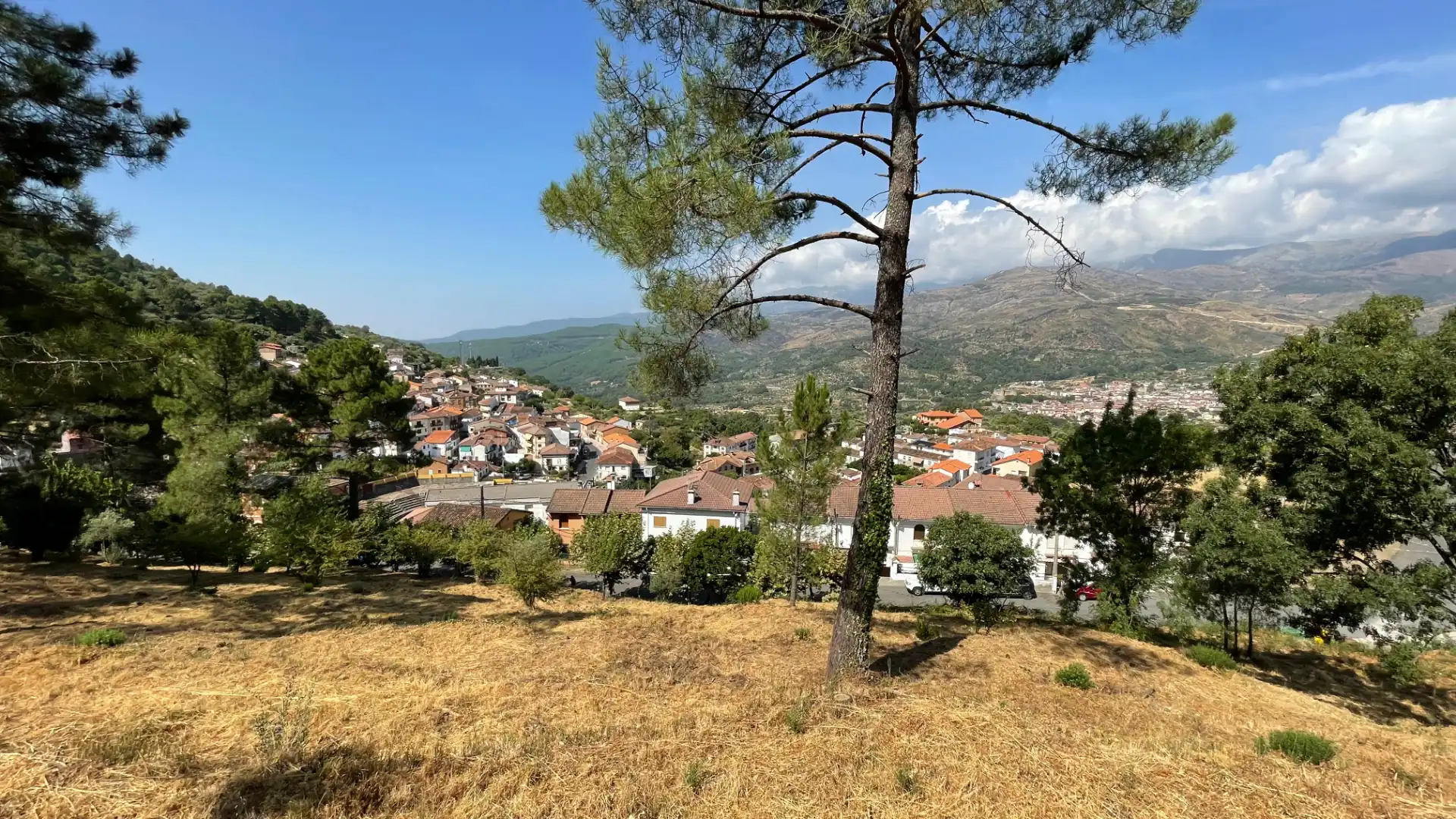 Residential land for sale in Avenida Antonio Machado 14, imagen 9