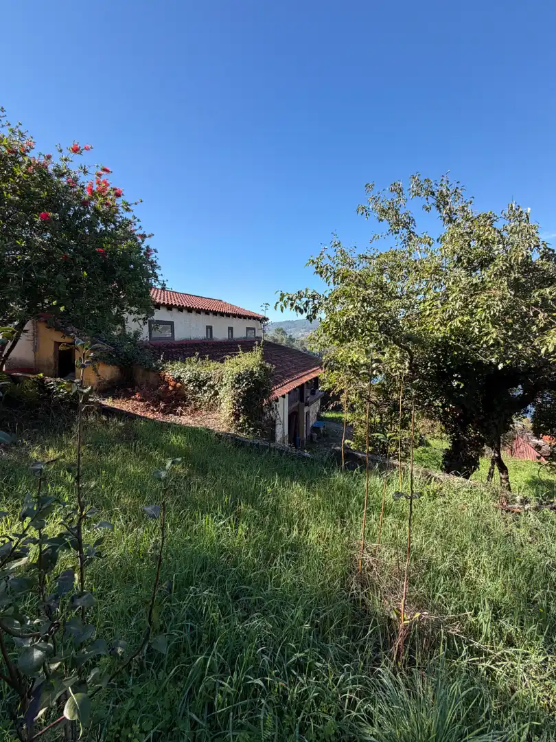 Haus mit Balkon zum Verkauf in Castrelo de Miño, imagen 40