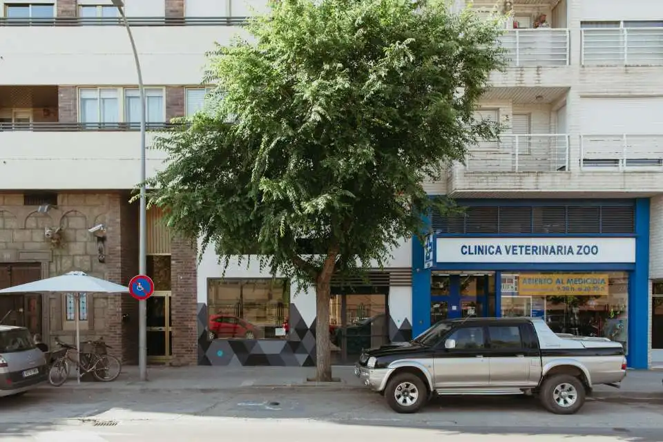 Local comercial de lloguer a Calle Obispo Pintado 8, imagen 2