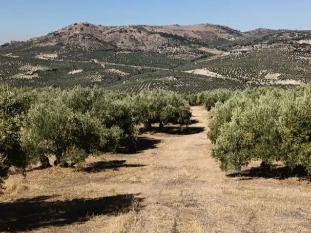 Terreno en venta en Zuheros