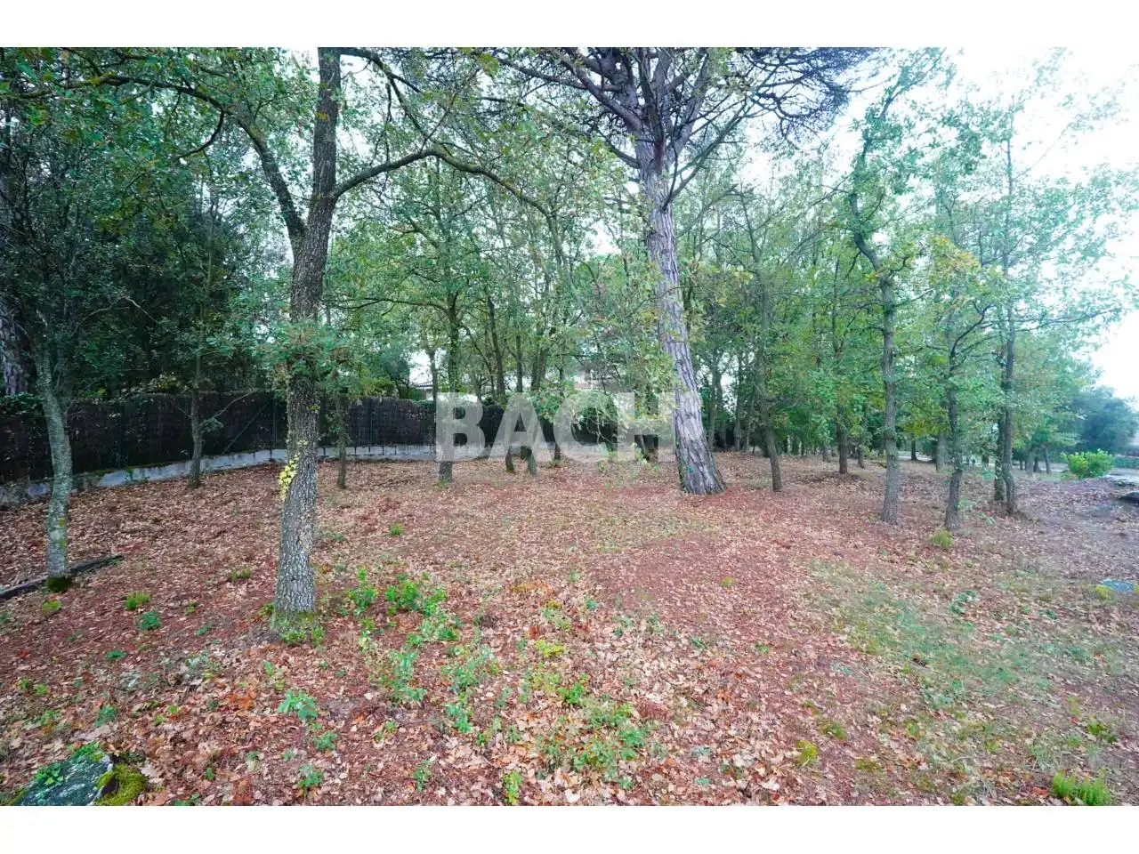 Terreno rustico in vendita a Avenida Goitallops 2, imagen 12