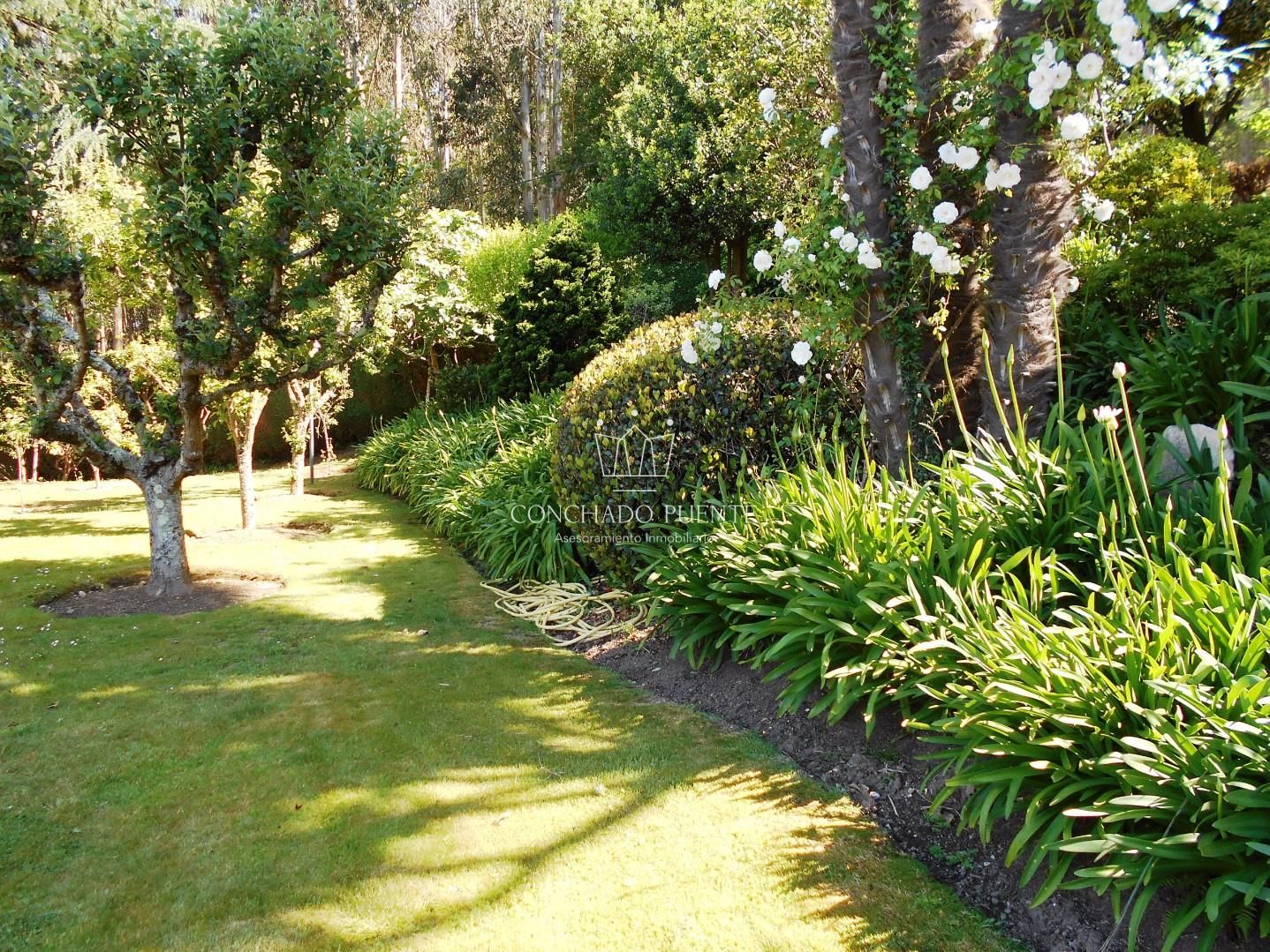 Jardí de Casa o xalet en venda en Oleiros amb Jardí privat