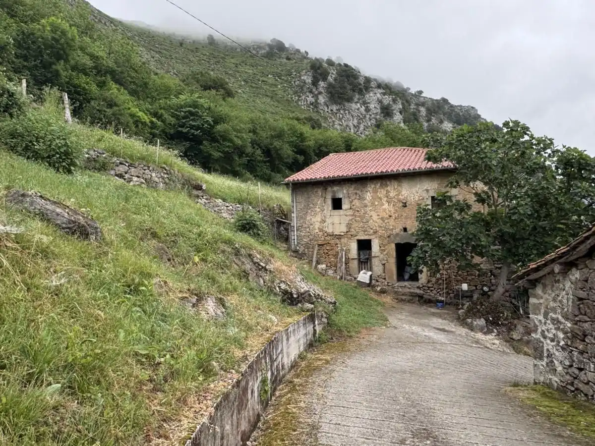 House for sale in Peñamellera Alta, imagen 7