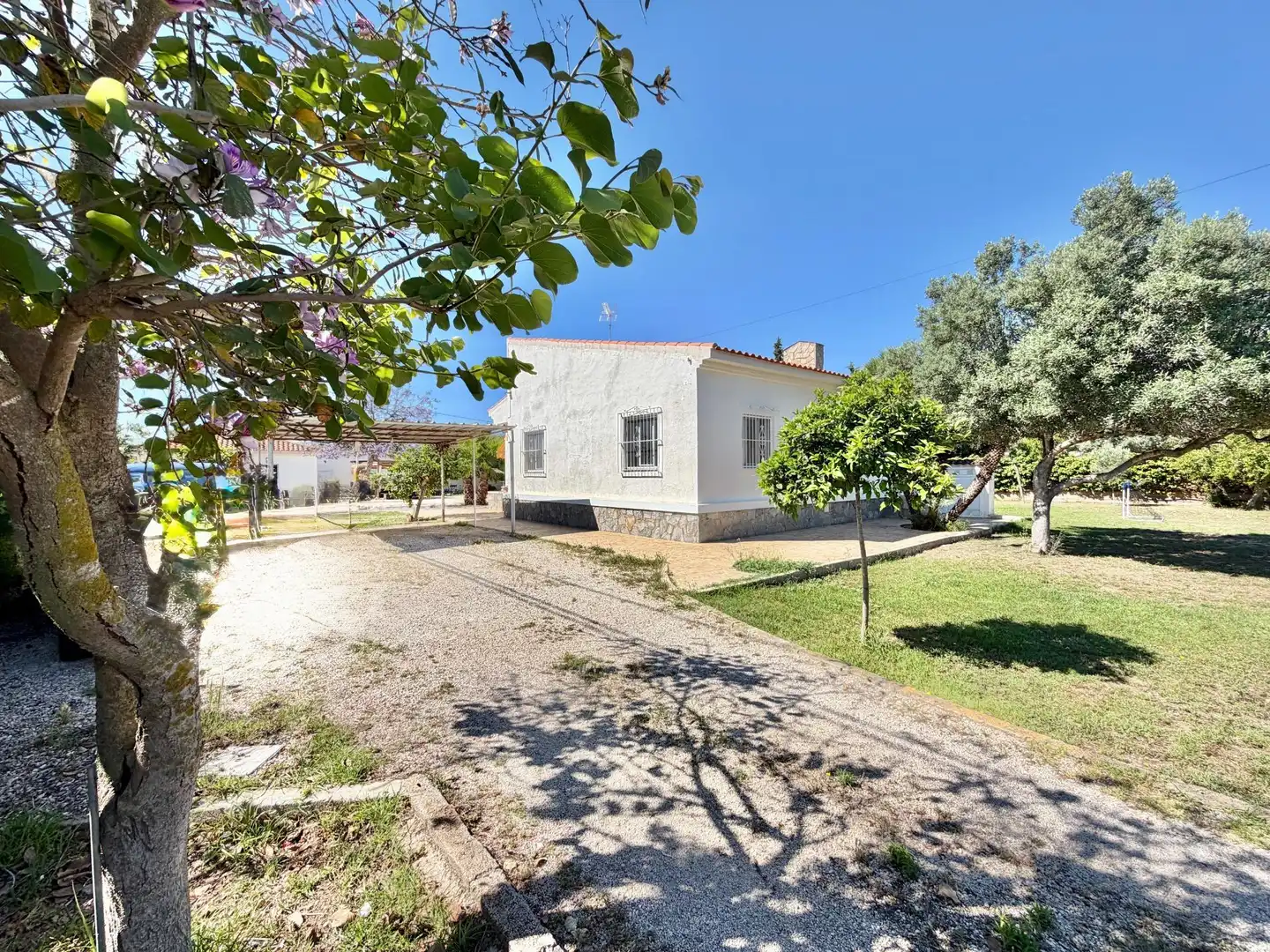 Vista exterior de Casa o chalet en venta en Elche / Elx con Aire acondicionado, Jardín privado y Terraza