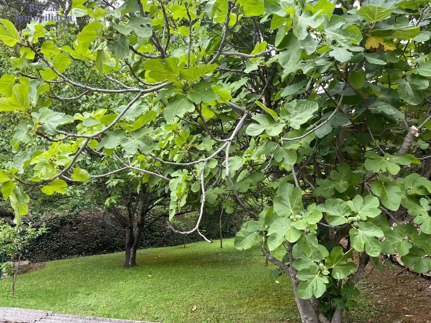 Jardí de Casa o xalet en venda en Sorzano amb Jardí privat, Terrassa i Traster