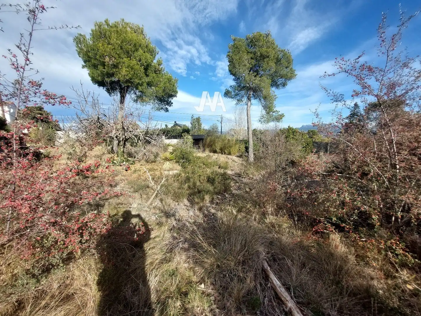 Terreny residencial en venda a Francesc Cambo, imagen 3