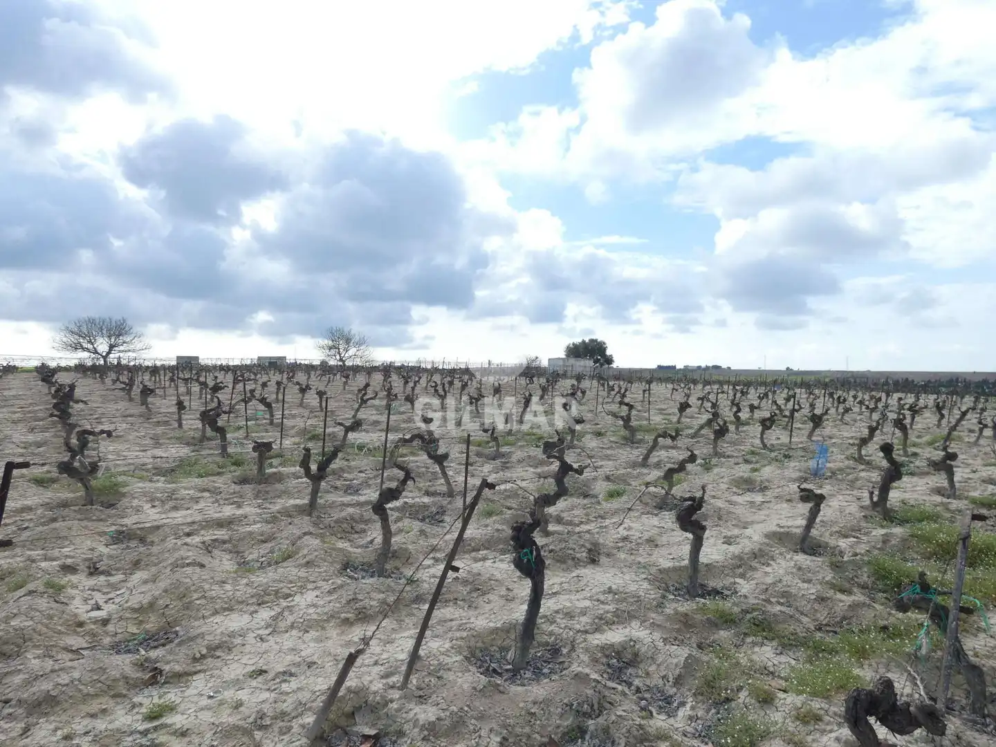 Rustikales Grundstück zum Verkauf in Ctra Jerez - Ctra del Puerto, imagen 7
