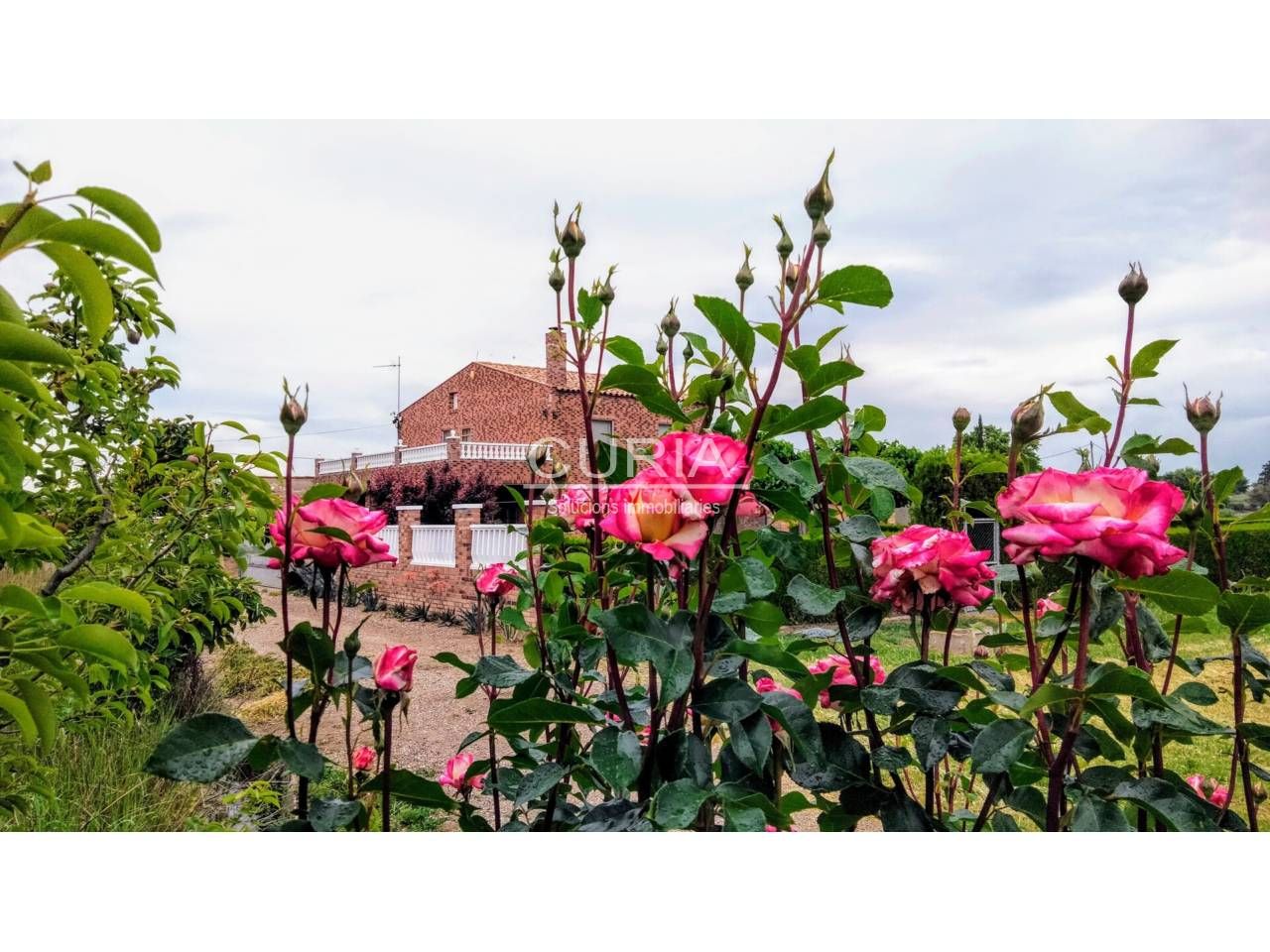 Jardí de Casa o xalet en venda en  Lleida Capital amb Calefacció, Jardí privat i Terrassa