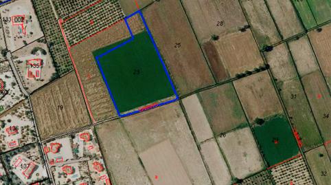 Foto 4 de Residencial en venta en Santa Agueda Pg3 Parc 23 y 24, -1, Catral, Alicante