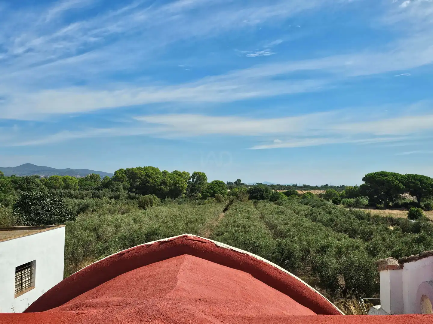 Finca rústica en venda en Montbrió del Camp amb Aire condicionat, Calefacció i Terrassa