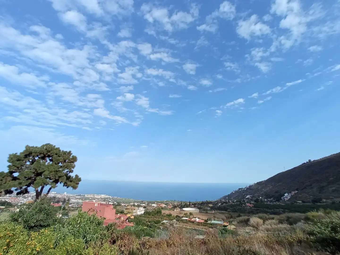 Terreno rustico in vendita a Las Cuevas - Los Gómez, imagen 38
