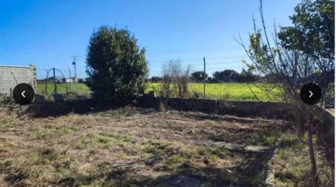 Terreno en venta en La Algaba, image 5