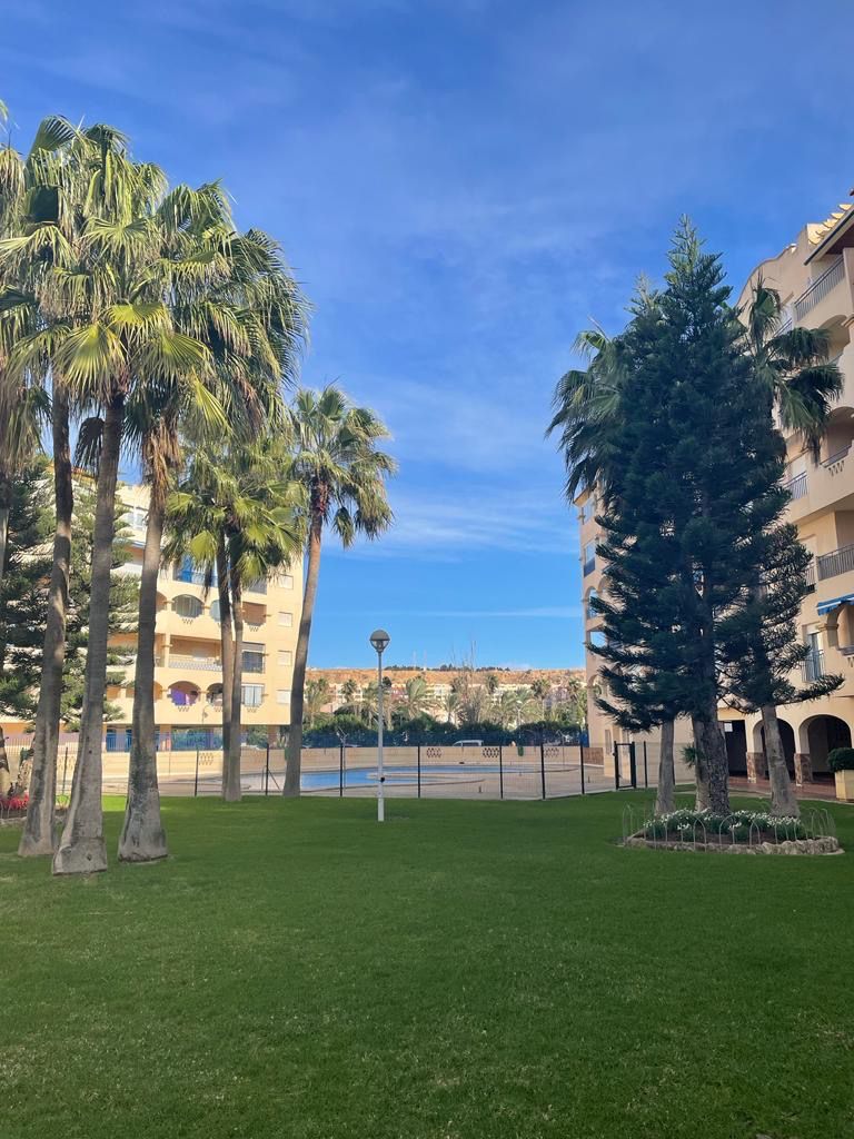 Vista exterior de Estudi de lloguer en El Ejido amb Aire condicionat, Calefacció i Jardí privat