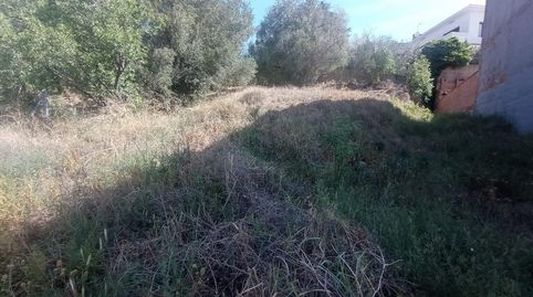 TERRENO URBANO PARA EDIFICAR A SOLO 3 MINUTOS DEL PUEBLO. ZONA CAN PERICHSENTMENAT, immagine 5