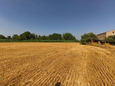 Terreno rustico in vendita a Partida LA COPA D'OR