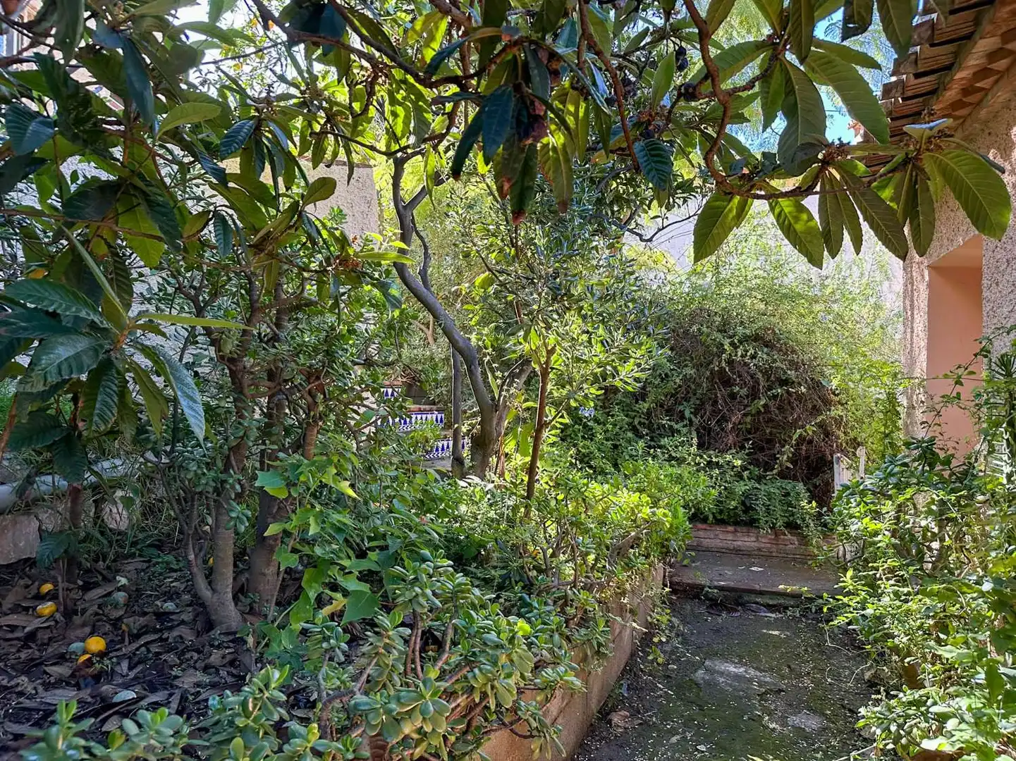 Jardín de Casa o chalet en venta en Almuñécar con Aire acondicionado, Calefacción y Terraza