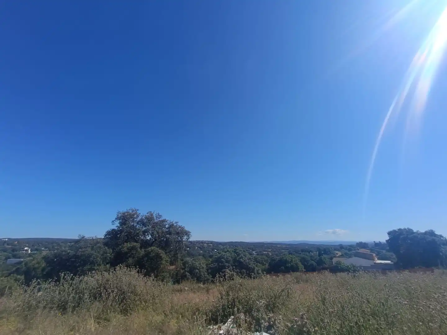 Terreni e lotti in vendita a Castilblanco de los Arroyos, imagen 3