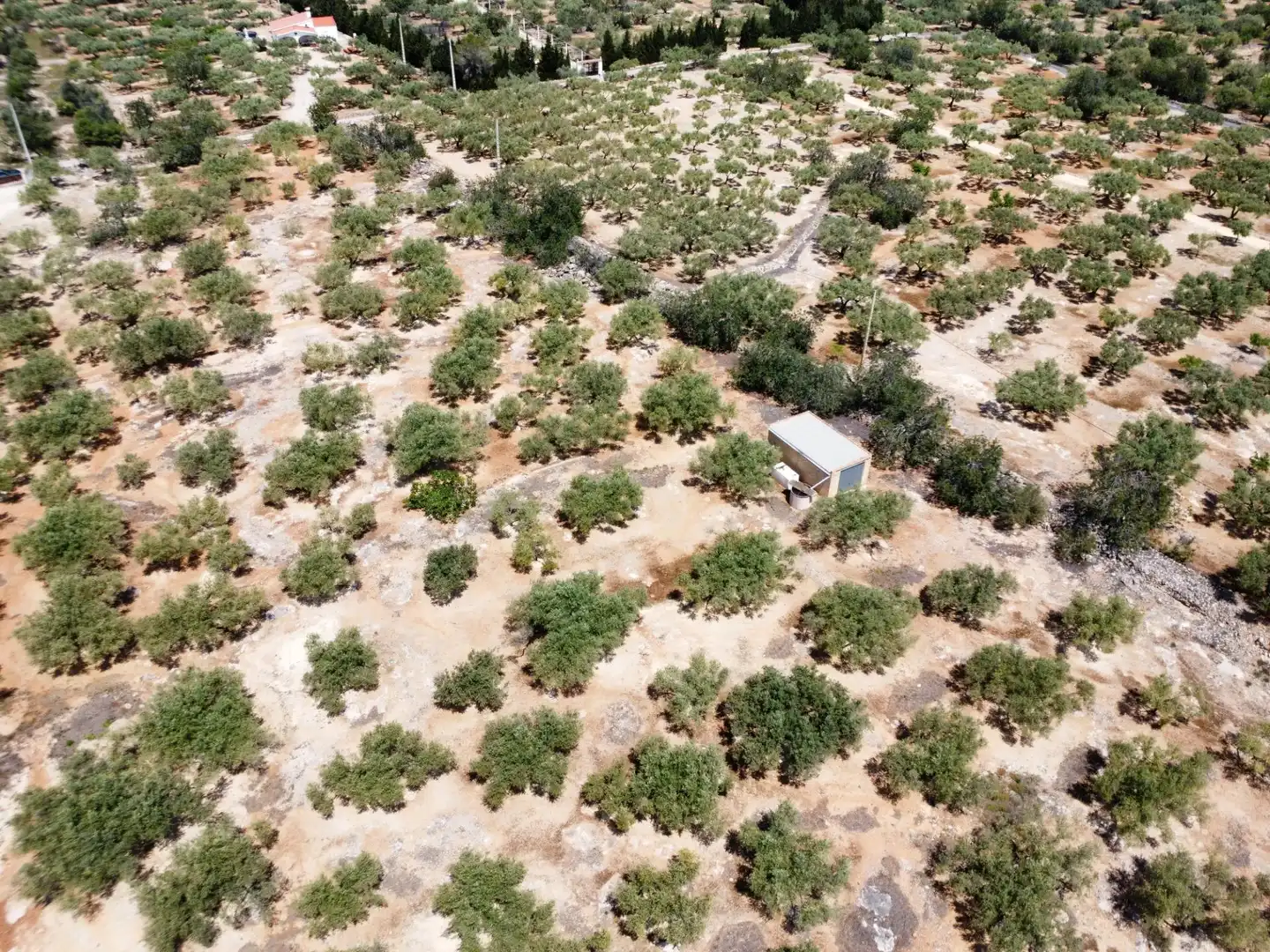 Maison rustique à vendre à L'Ampolla, imagen 26