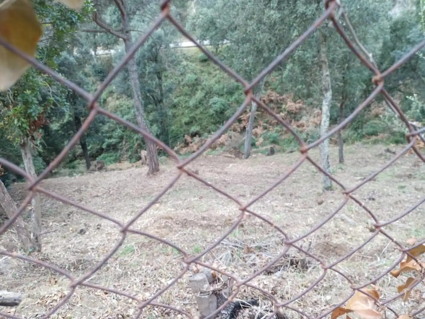 Wohnbaugrundstück zum Verkauf in Morera 2, imagen 11