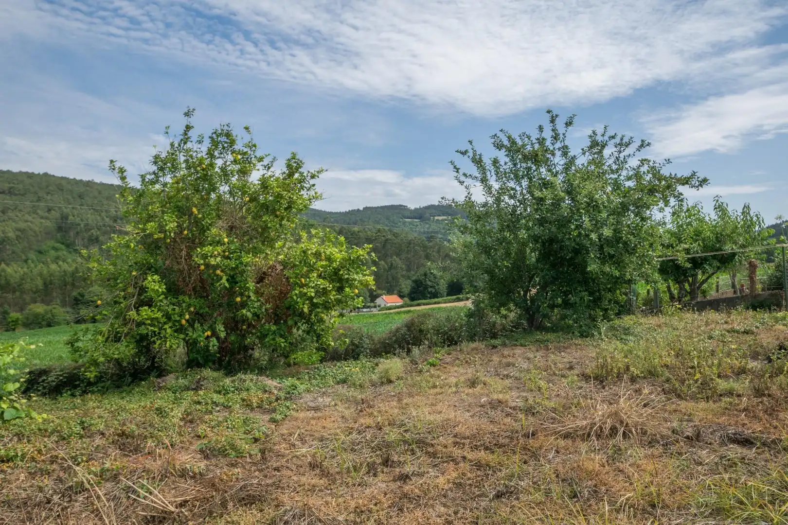 Finca rústica en venta en Abegondo con Jardín privado y Trastero