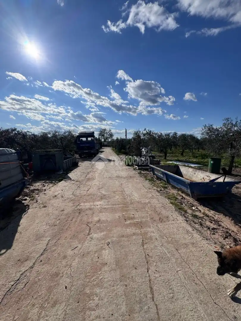 Terrenys i solars en venda a Este - Alcosa- Torreblanca, imagen 6