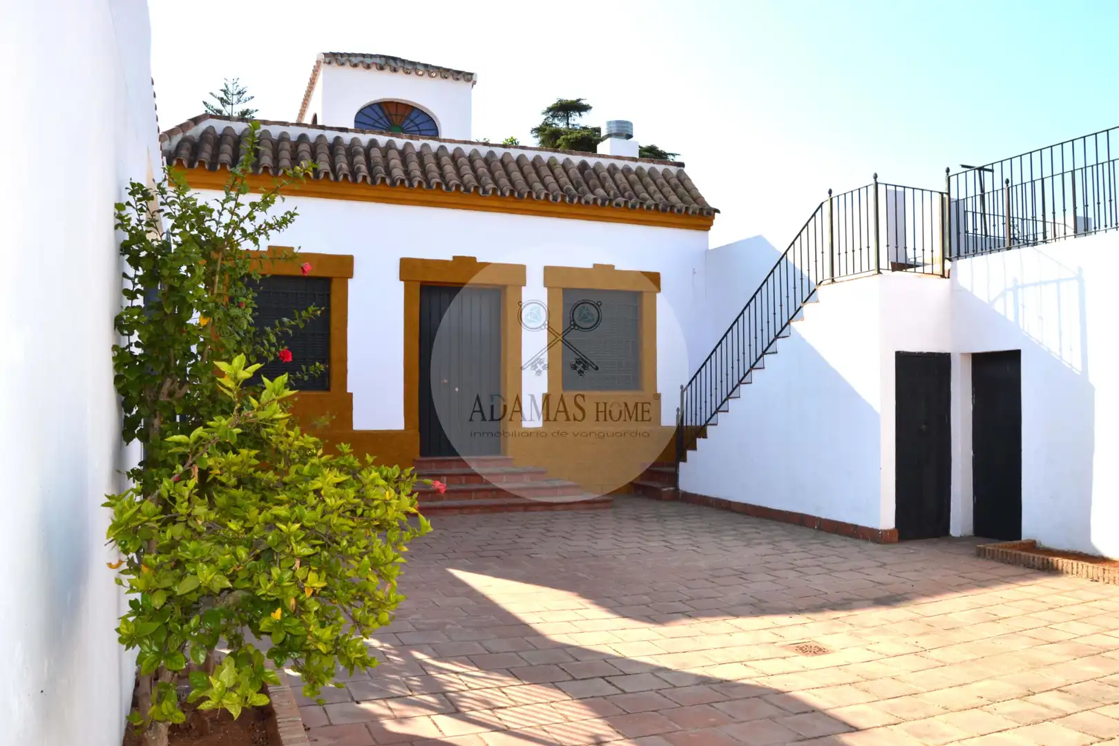 Jardí de Casa o xalet en venda en Sanlúcar la Mayor amb Jardí privat, Terrassa i Piscina