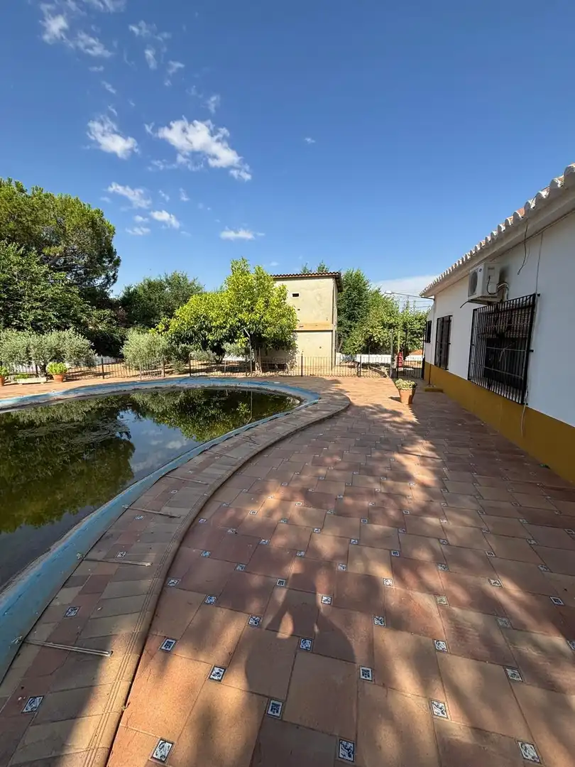 Chalet con piscina en venta en Valdepeñas, imagen 44
