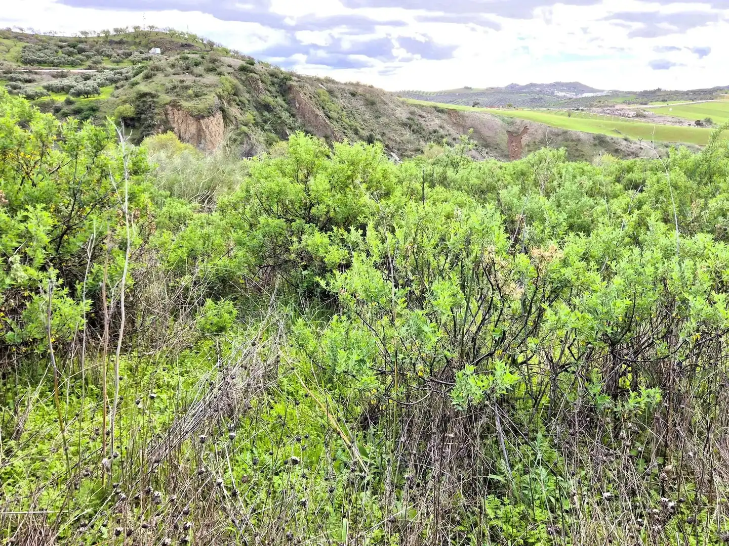 Wohnbaugrundstück zum Verkauf in Zona de la Vega, imagen 12