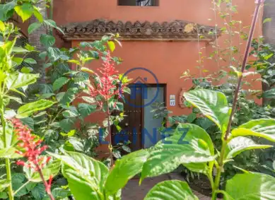 Jardín de Casa o chalet en venta en Marbella