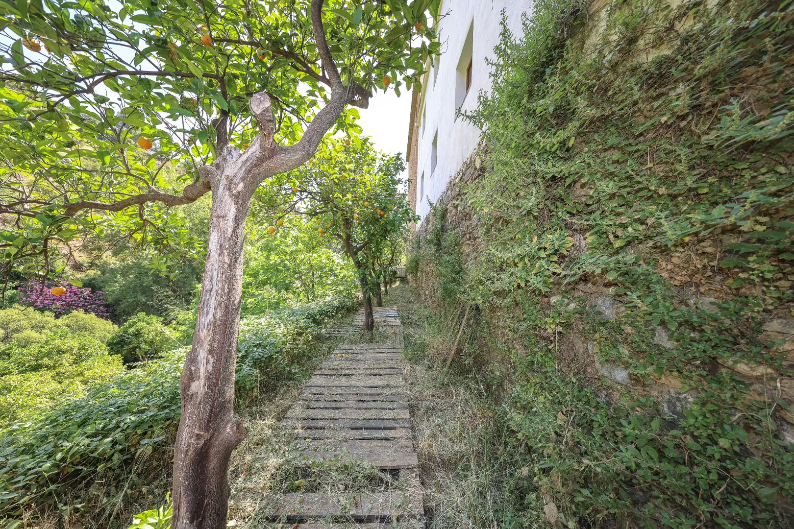 Rustikales Grundstück zum Verkauf in Calle Barranco de Amador, imagen 7