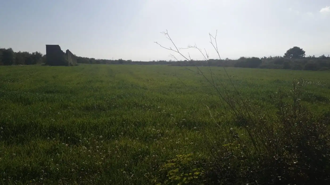 Rural land for sale in Godall, imagen 2