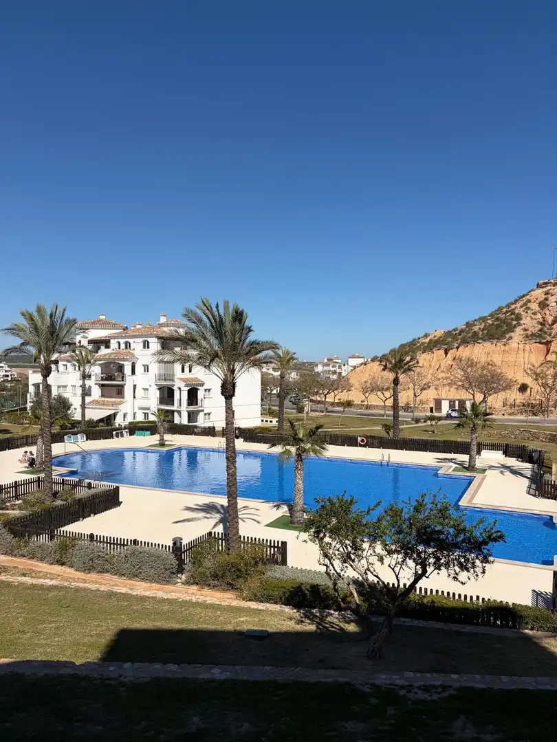 Apartament amb terrassa de lloguer a Calle HACIENDA RIQUELME VIAL C 8