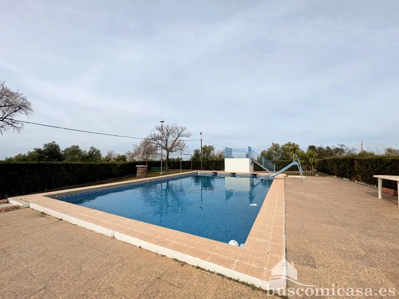 Piscina de Finca rústica en venda en Baeza amb Jardí privat, Terrassa i Traster