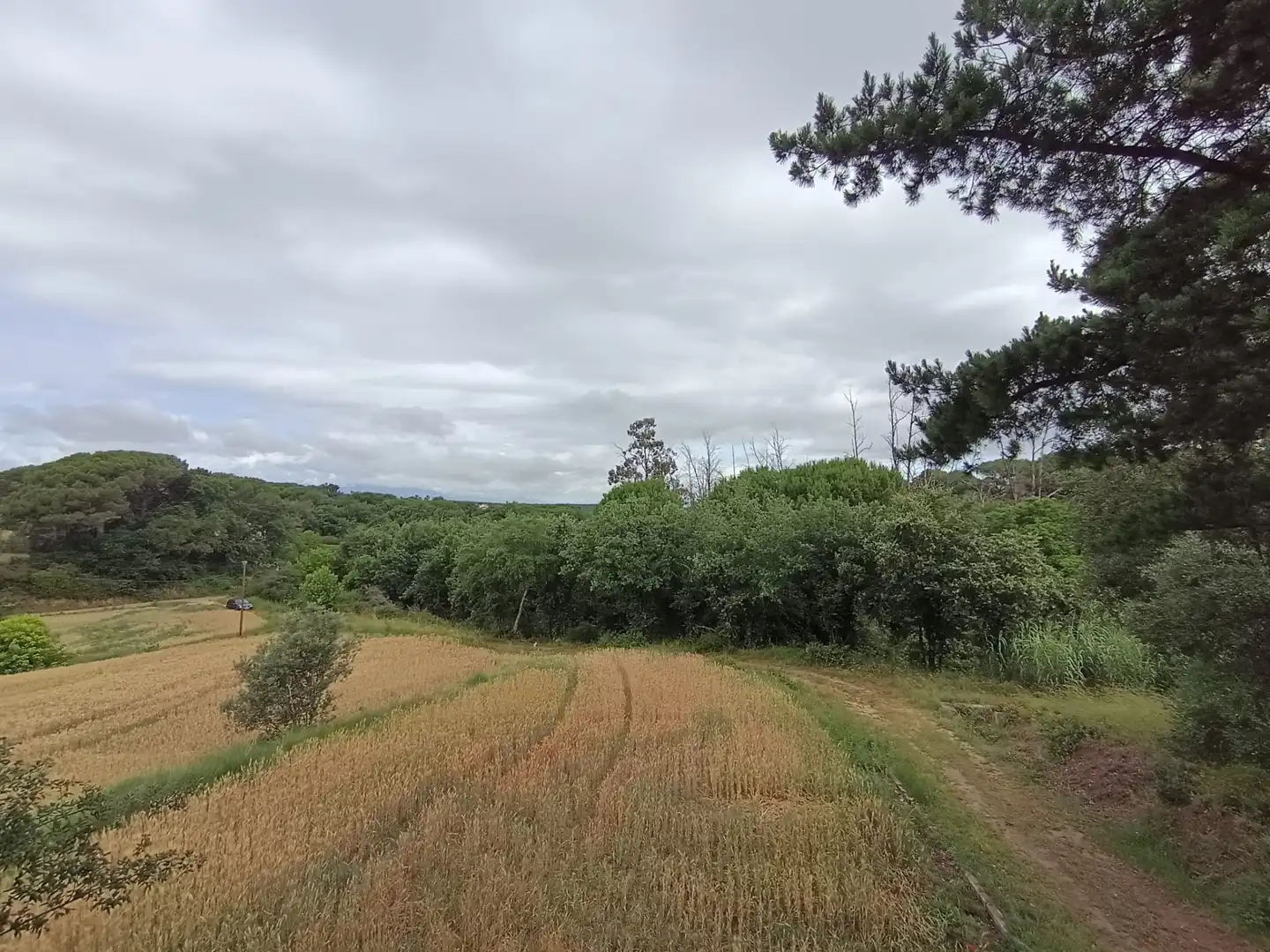 Finca rústica en venda en Caldes de Malavella amb Terrassa