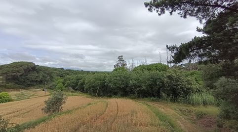 Foto 5 de Finca rústica en venda a Can Tarnet, Caldes de Malavella, Girona