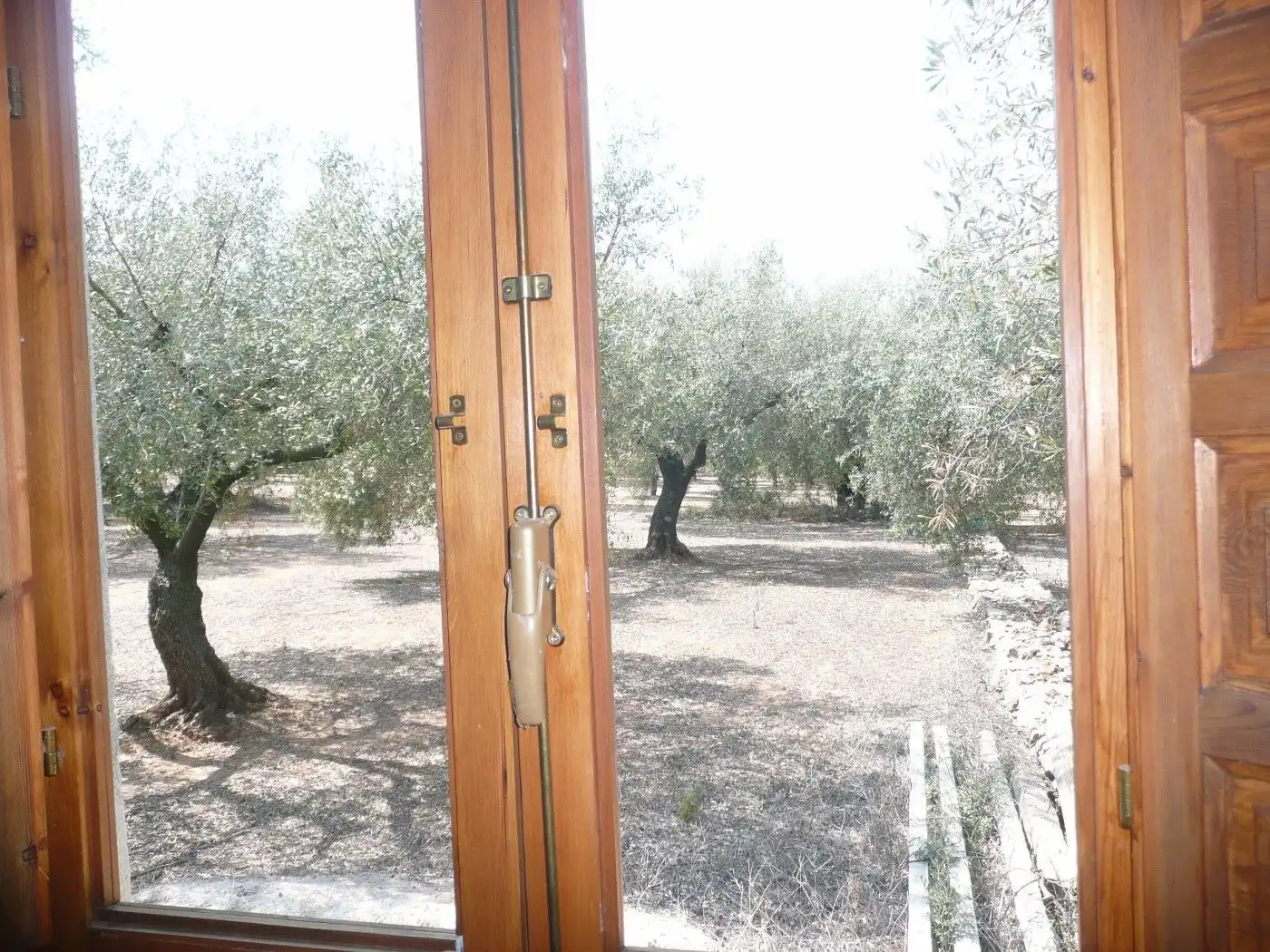 Jardín de Terreno en venta en Ulldecona