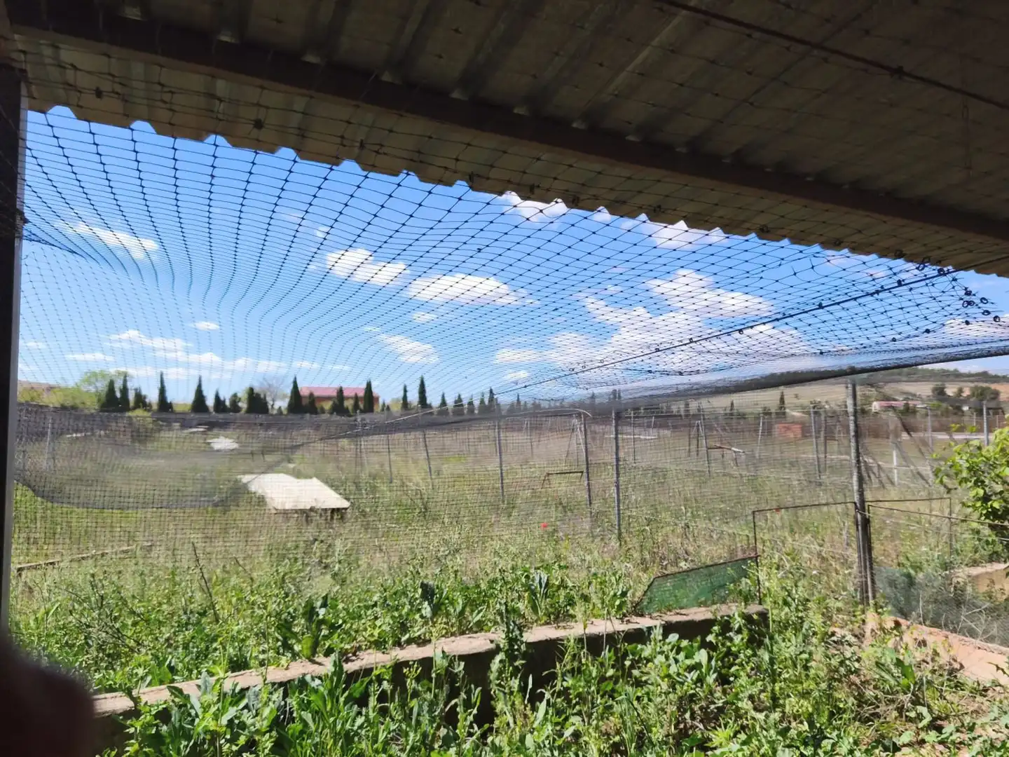 Jardín de Finca rústica en venta en Alcázar de San Juan