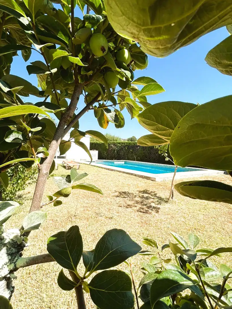Piscina de Finca rústica en venda en Estepona amb Jardí privat, Terrassa i Piscina