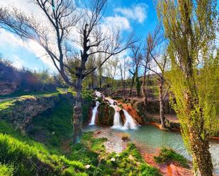 Vista exterior de Casa o xalet en venda en Tubilla del Agua amb Calefacció, Jardí privat i Parquet