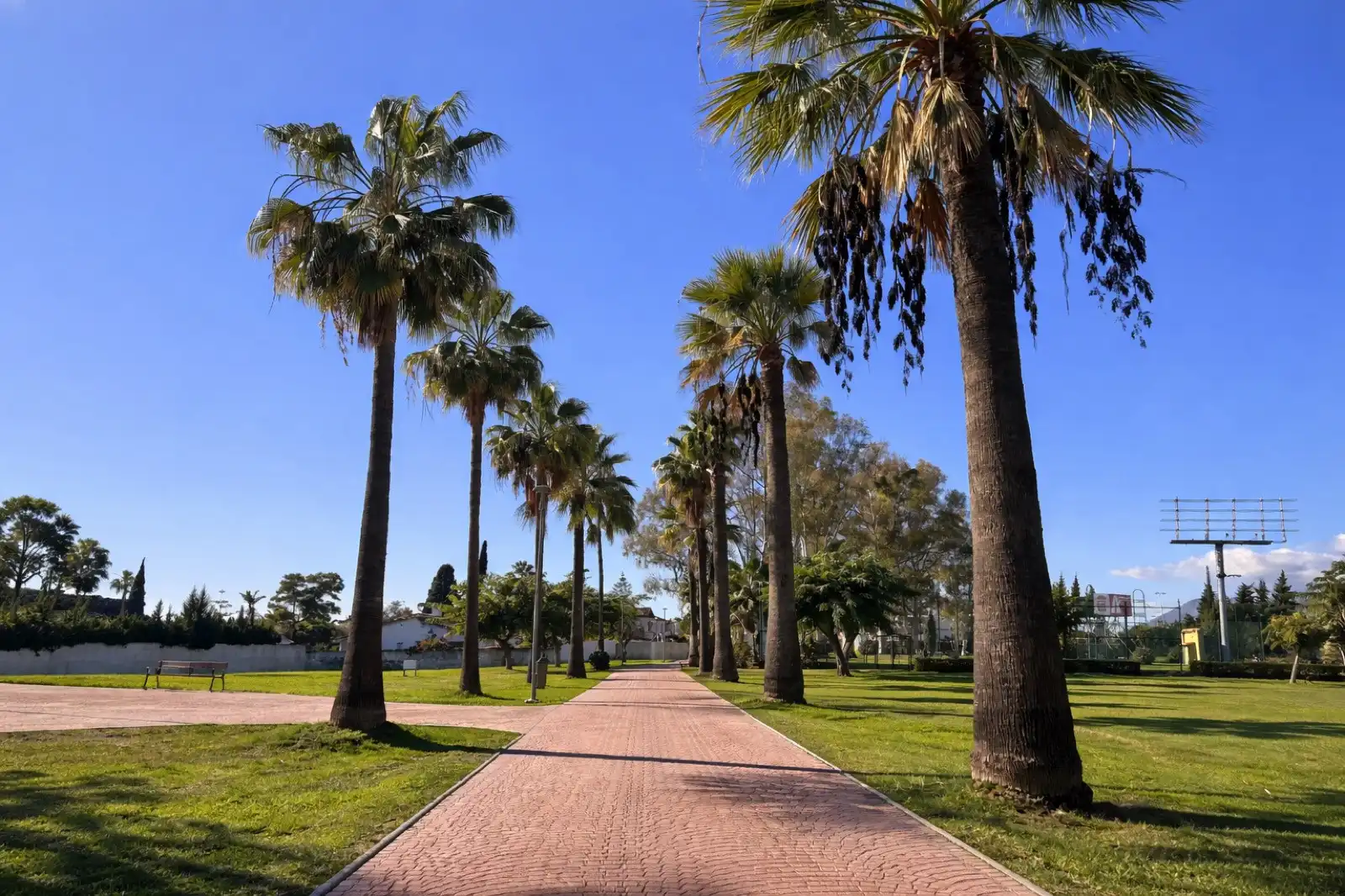 Habitatge amb jardí en venda a Benamara - Atalaya, imagen 11