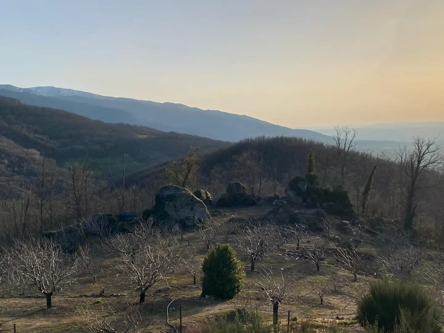 Terreni e lotti in vendita a Hervás, imagen 6