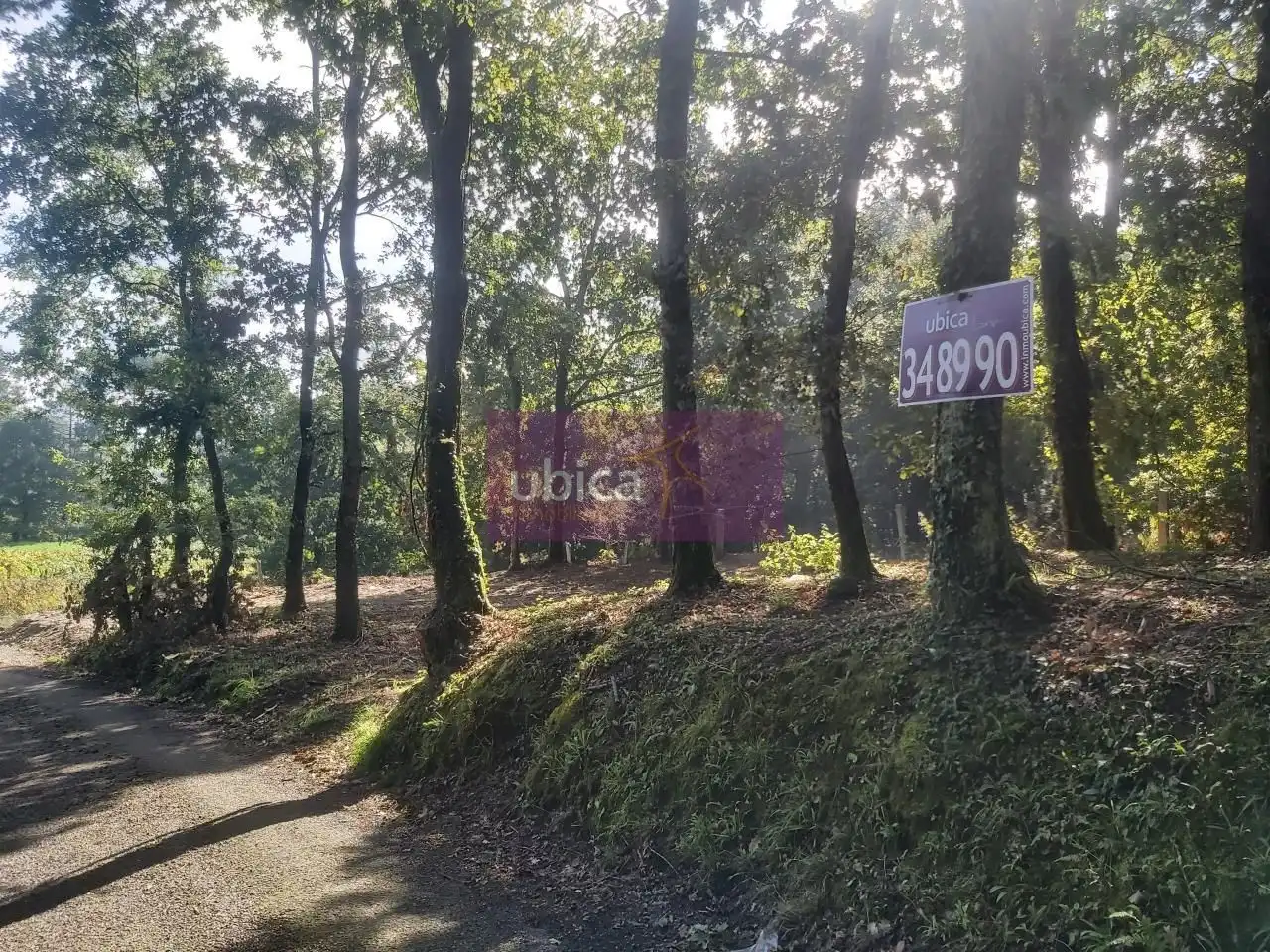 Terreny residencial en venda a O Porriño, imagen 14